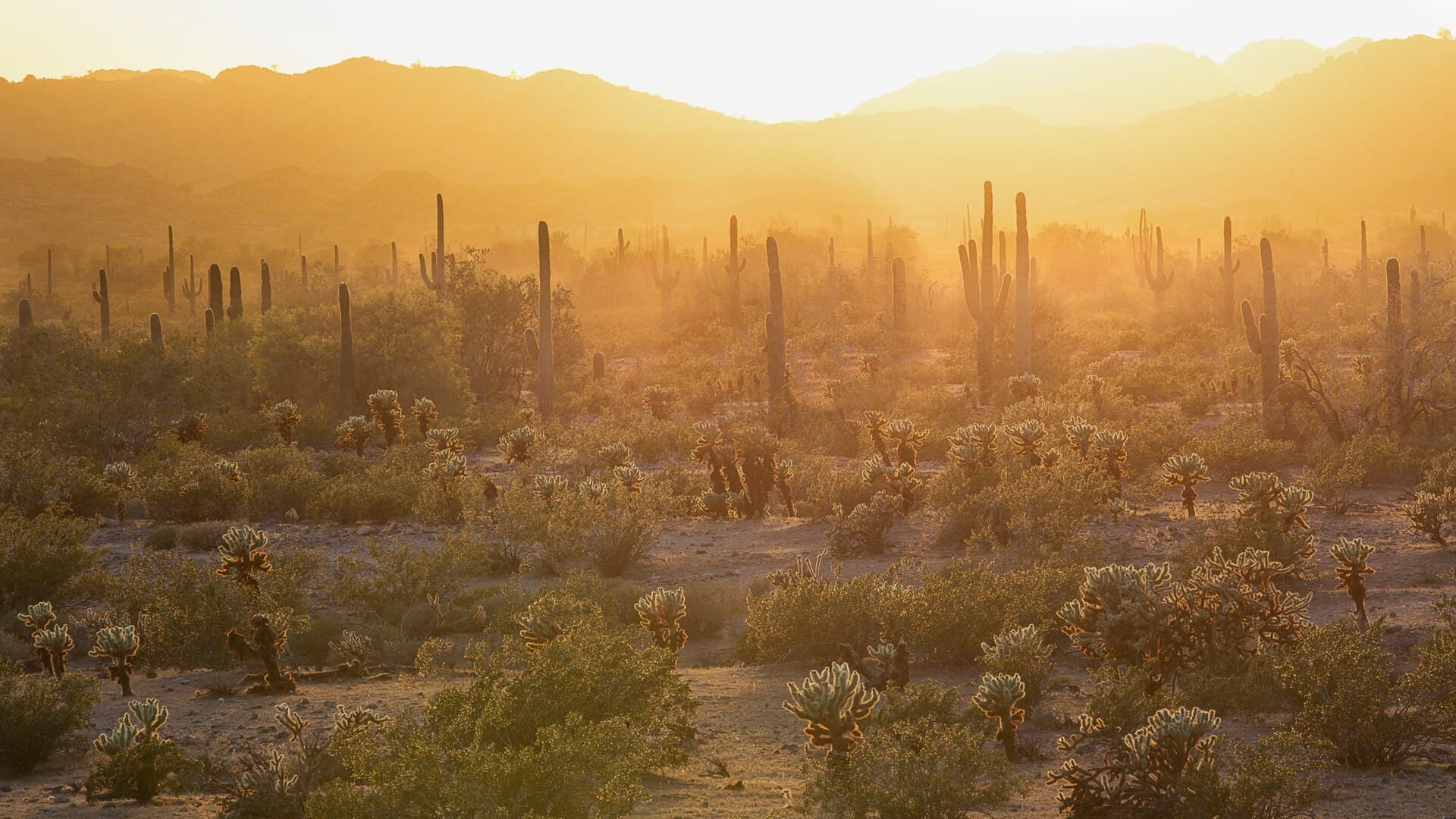Scottsdale, Arizona