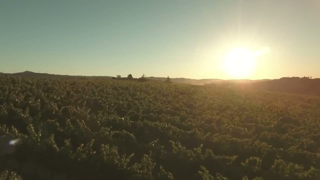 California at golden hour